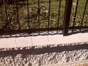 SAM_1385 SAM_1385